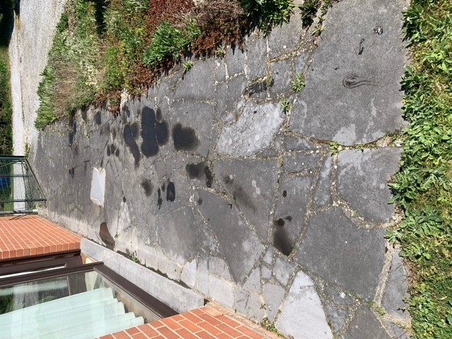 Image10