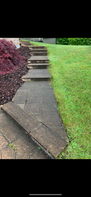 Image14