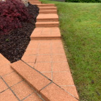 Image15